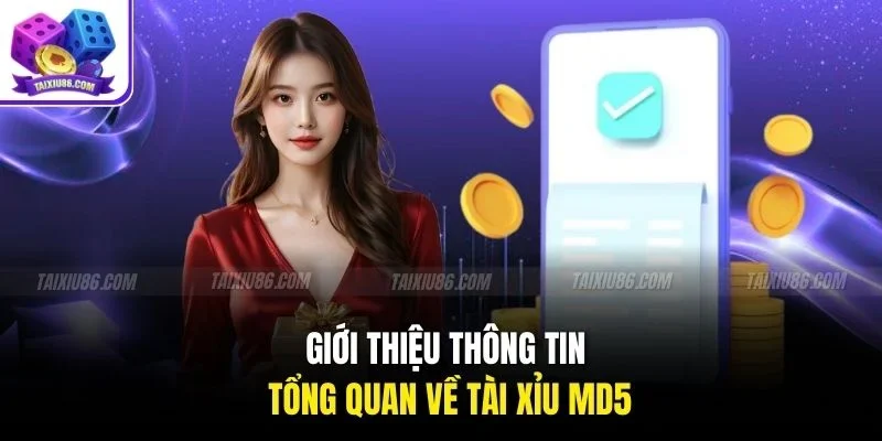 Giới thiệu thông tin tổng quan về tài xỉu MD5
